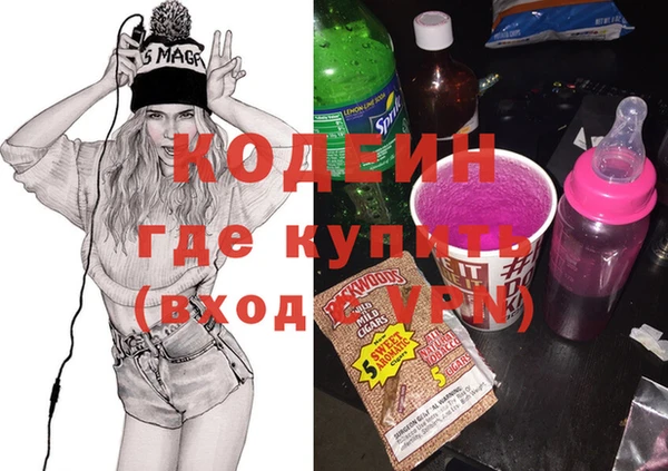 индика Мегион