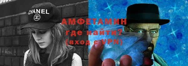 индика Мегион