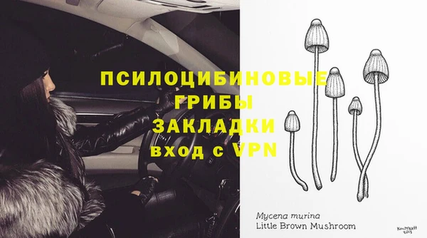 Альфа ПВП Медногорск