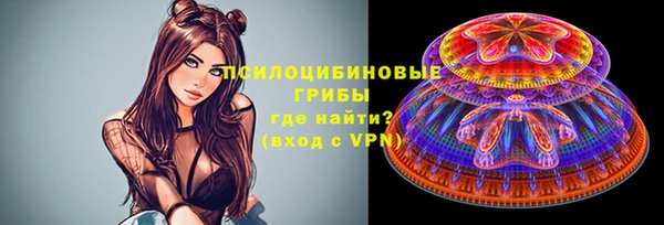 индика Мегион