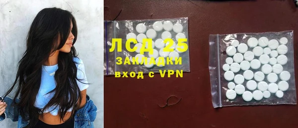индика Мегион