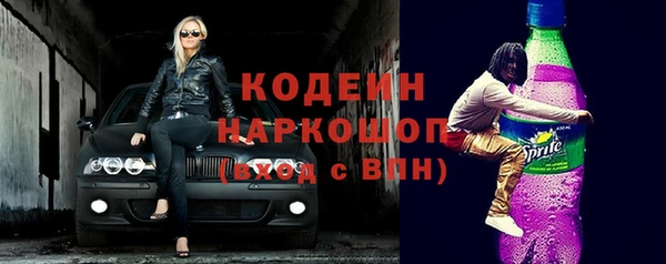 индика Мегион