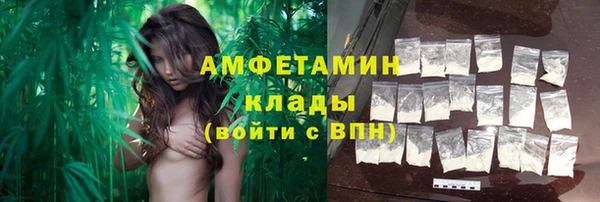 индика Мегион