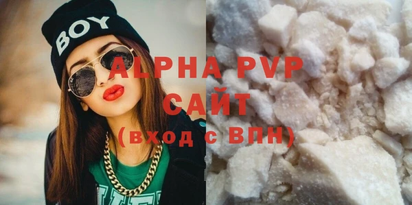 индика Мегион