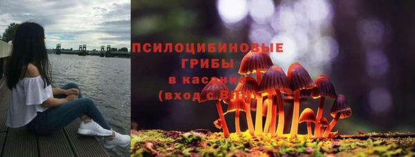 индика Мегион